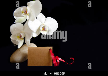 Weiße Orchidee auf Zen Steinen und Karte. Stockfoto