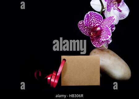 Rosa Orchidee auf Zen Steinen und Karte. Stockfoto