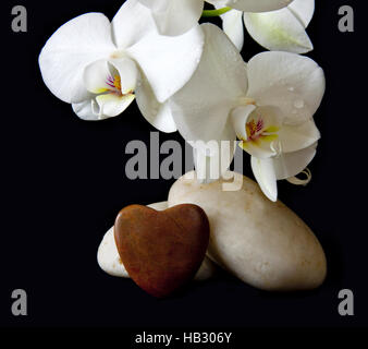 Weiße Orchidee und Liebe Herz. Stockfoto