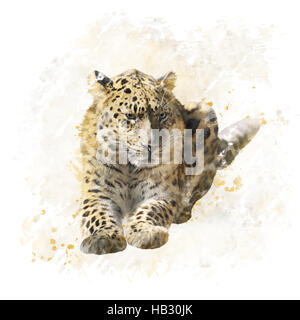 Leopard Portrait Aquarell Stockfoto