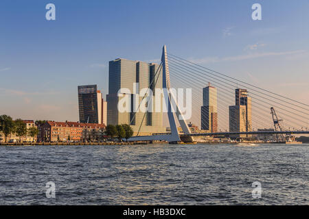 Erasmusbrücke in Rotterdam Stockfoto