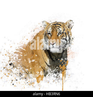 Tiger-Portrait-Aquarell Stockfoto