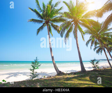 tropischer Strand und Kokosnuss Palmen Bäume Stockfoto