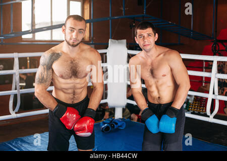 Zwei Boxer in den Ring. Stockfoto