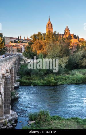 Kathedrale von Salamanca gesehen aus über den Fluss Tormes und Puente Romano, Salamanca, Spanien. Stockfoto