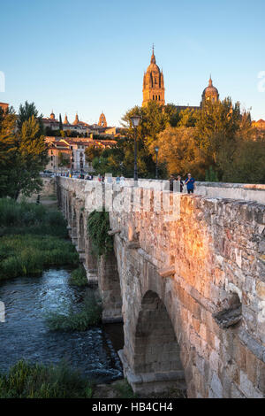 Kathedrale von Salamanca gesehen aus über den Fluss Tormes und Puente Romano, Salamanca, Spanien. Stockfoto