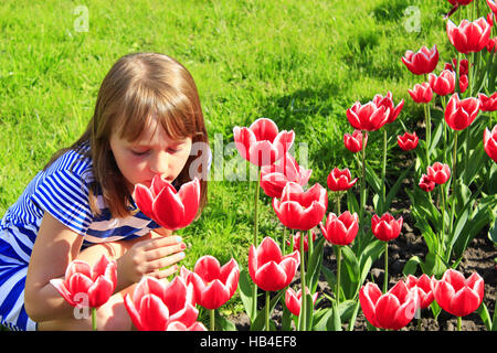 kleines Mädchen riecht rote Tulpen auf dem Blumenbeet Stockfoto