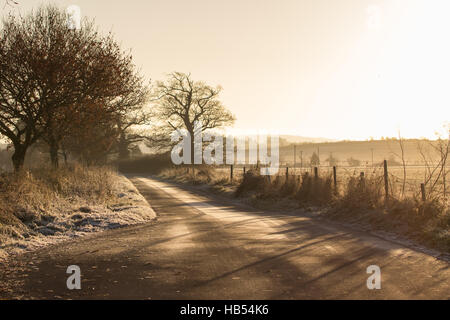Sonnenaufgang über eine frostige Landschaft Lane in Oxfordshire, Vereinigtes Königreich Stockfoto