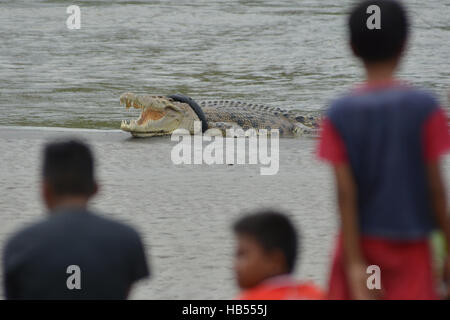 Palu, Indonesien. 4. Dezember 2016. Bewohner sehen Sie wilde Krokodil Motorrad gefangen, die Reifen am Fluss Sand Sonnenbaden Rückzug war. Krokodil gefangen in der Motorrad-Reifen ist jetzt in einem Zustand des Sterbens von ihrem Hals Motorrad Reifen zunehmend erwürgt ihn und die Einheimischen Natural Resources Conservation Center (BKSDA) nicht alles tun konnte, um das Krokodil in Ermangelung entsprechender Gutschrift helfen: Basri Marzuki/Pacific Press/Alamy Live News Stockfoto