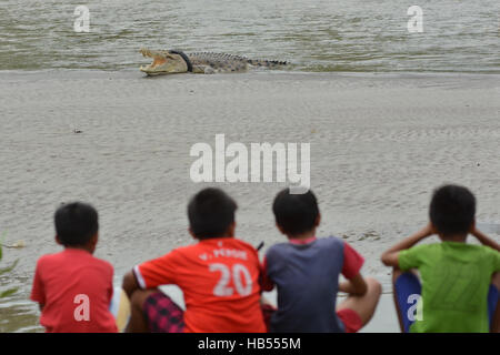 Palu, Indonesien. 4. Dezember 2016. Bewohner sehen Sie wilde Krokodil Motorrad gefangen, die Reifen am Fluss Sand Sonnenbaden Rückzug war. Krokodil gefangen in der Motorrad-Reifen ist jetzt in einem Zustand des Sterbens von ihrem Hals Motorradreifen zunehmend erwürgt ihn und die Einheimischen Natural Resources Conservation Center (BKSDA) konnte nicht alles tun, um das Krokodil in Ermangelung entsprechender Ausrüstung zu helfen. Bildnachweis: Basri Marzuki/Pacific Press/Alamy Live-Nachrichten Stockfoto