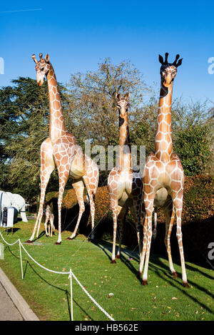 Longleat Festibal des Lichts Stockfoto