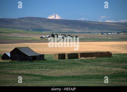 Bauernhof in Eastern Washington Stockfoto