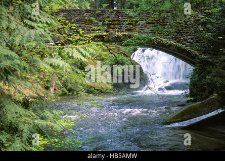 Whatcom fällt, Bellingham, Wa Stockfoto