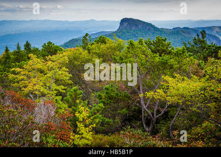 Ansicht des Table Rock von Hawksbill Berg, am Rand der Schlucht Linville, im Pisgah National Forest, North Carolina. Stockfoto