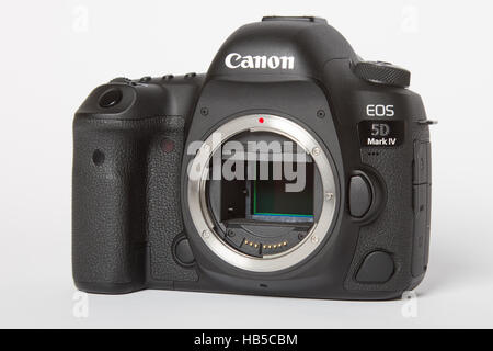 Canon 5D Mark IV. 30 Mpx Kamera auf weißem Hintergrund Stockfoto