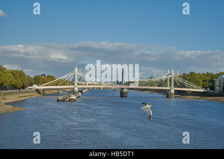 die Albert Bridge, London.     Themse-Brücke.  Victorian-Brücke Stockfoto