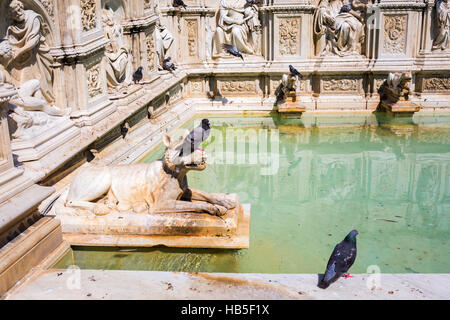 Brunnen Sie Fonte Gaia auf der Piazza del Campo in Siena, Italien Stockfoto