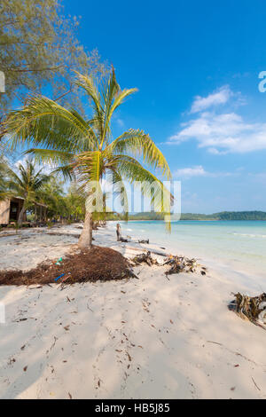 Tropischer Strand in Koh Rong mit Meerwelle auf den Sand und Palmen Bäume Stockfoto