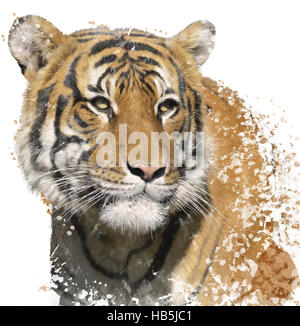Tiger-Portrait-Aquarell Stockfoto