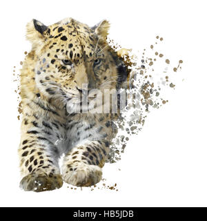 Leopard Portrait Aquarell Stockfoto