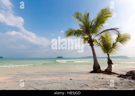 Tropischer Strand in Koh Rong mit Meerwelle auf den Sand und Palmen Bäume Stockfoto