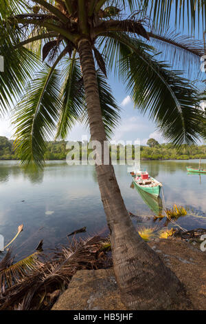 Tropischer Strand in Koh Rong mit Meerwelle auf den Sand und Palmen Bäume Stockfoto