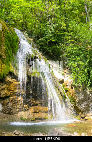 Wasserfall auf einem Bergfluss im Wald Stockfoto