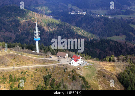 Hochblauen, Berg im Schwarzwald Stockfoto