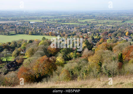 Dollar - Chiltern Hills - Herbst Ansicht Whiteleaf Hill, bewaldeten Aylesbury Plain - rotbraun und grün - Sonnenlicht und Schatten - haze Stockfoto