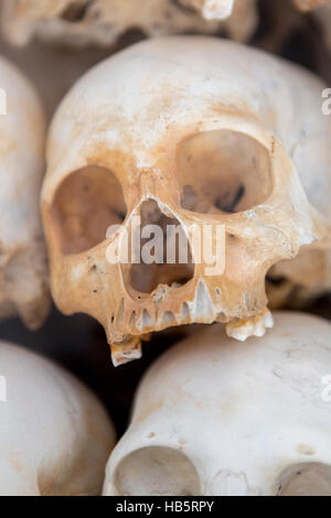 Schädel und Knochen in Killing Field, Phnom Penh, Kambodscha Stockfoto
