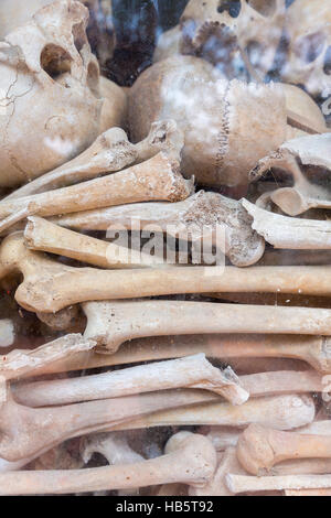 Schädel und Knochen von Killing Field, Siem Reap, Kambodscha Stockfoto