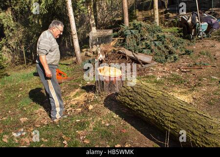 Alter Mann Fjälls Lärche. Holzfäller im Wald arbeiten. Aktives Leben im Alter. Brennholz vorzubereiten für den Winter. Mann arbeitet Stockfoto