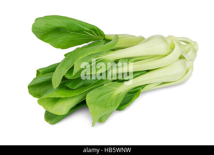 Kohl Pak choy Stockfoto