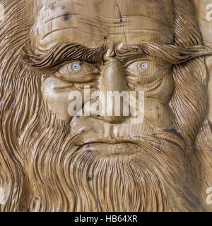 Leonardo da Vinci Gravur Stockfoto