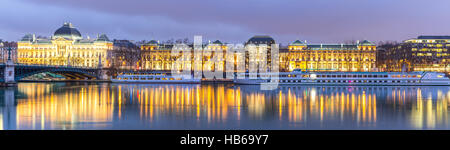 Universität Lyon Brücke Stockfoto