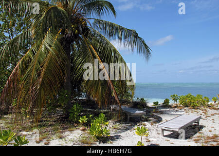 Liegestühle an einem tropischen Strand. Bodufinolhu (Fun-Insel), Süd Male Atoll, Malediven Stockfoto