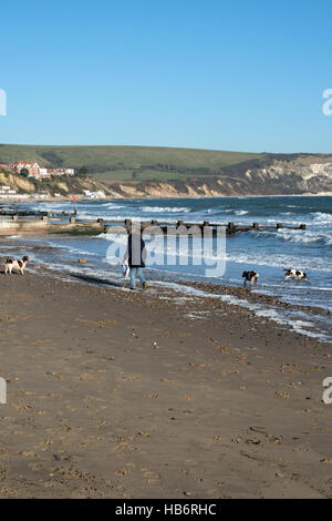 Freundlichen Hundestrände in Swanage Stockfoto