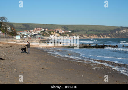 Freundlichen Hundestrände in Swanage Stockfoto