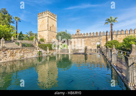 Wasser-Teich im Garten des Alcazar der christlichen Monarchen in Córdoba, Andalusien, Spanien. Stockfoto