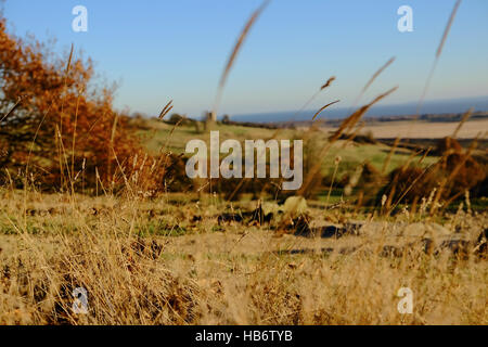 Hadleigh Olympische Bike-Park, mit Blick auf Hadleigh Castle Stockfoto