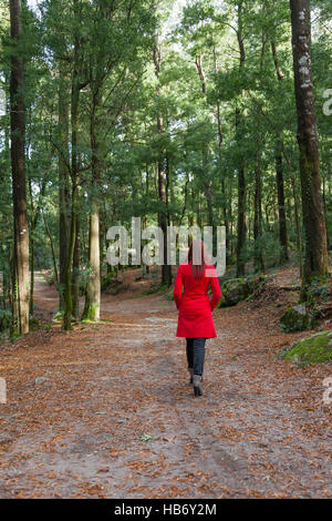 Junge Frau allein zu Fuß auf einem Waldweg Schmutz tragen einen roten Mantel an einem kalten Wintertag Stockfoto