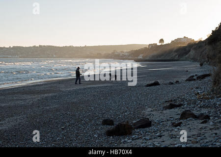 Freundlichen Hundestrände in Swanage Stockfoto