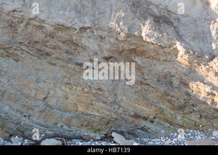 Wealden Felsen, Swanage, Dorset, Großbritannien Stockfoto