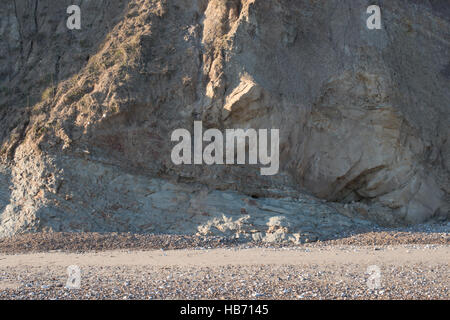 Wealden Felsen, Swanage, Dorset, Großbritannien Stockfoto