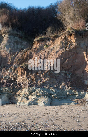 Wealden Felsen, Swanage, Dorset, Großbritannien Stockfoto