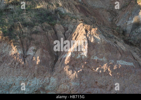 Wealden Felsen, Swanage, Dorset, Großbritannien Stockfoto