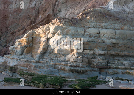 Wealden Felsen, Swanage, Dorset, Großbritannien Stockfoto