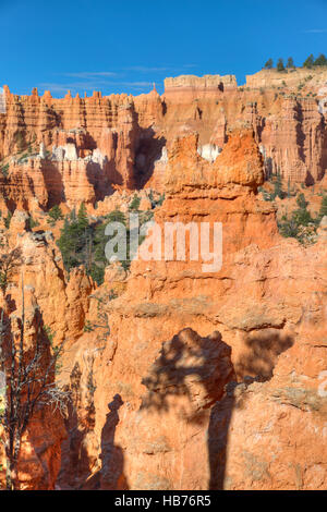Hoodoos, auf dem Queens Garden Trail, Bryce-Canyon-Nationalpark, Utah, USA Stockfoto