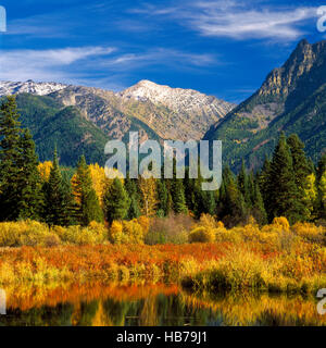 Feuchtgebiet und Herbst Farben unter den Schrank Bergen in der Nähe von troy, Montana Stockfoto