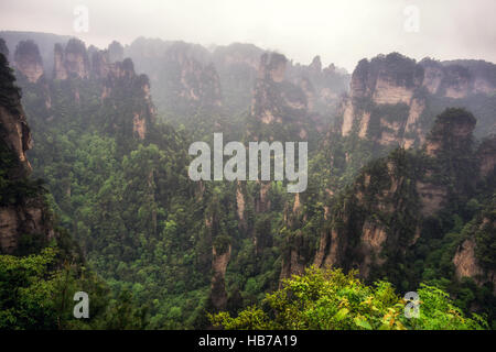 hohe Berggipfel von yuanjiajie Stockfoto